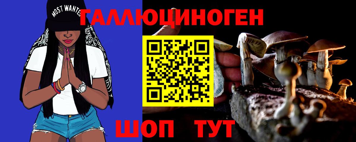 Псилоцибиновые грибы Cubensis Сочи